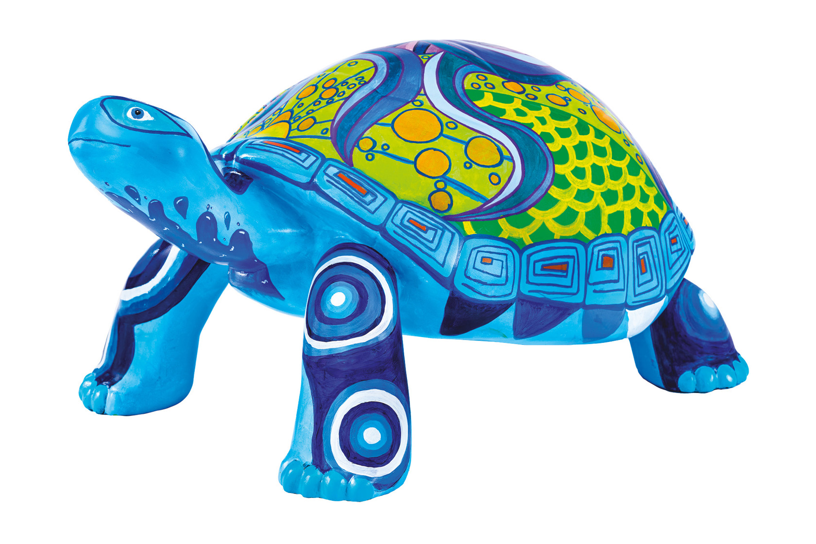 2000 Small Bruce Tortoise
