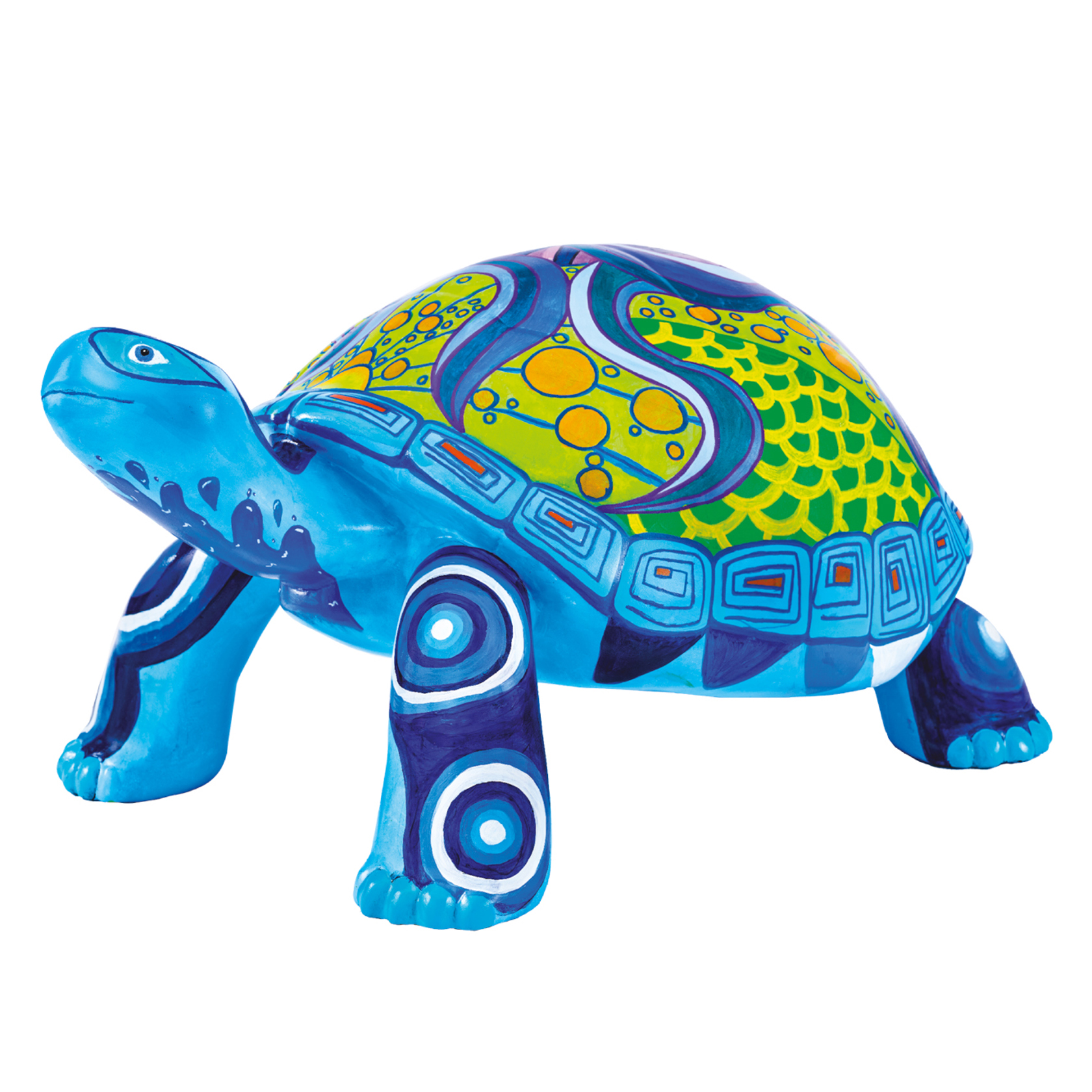 Tt Small 1333X1333 Bruce Tortoise