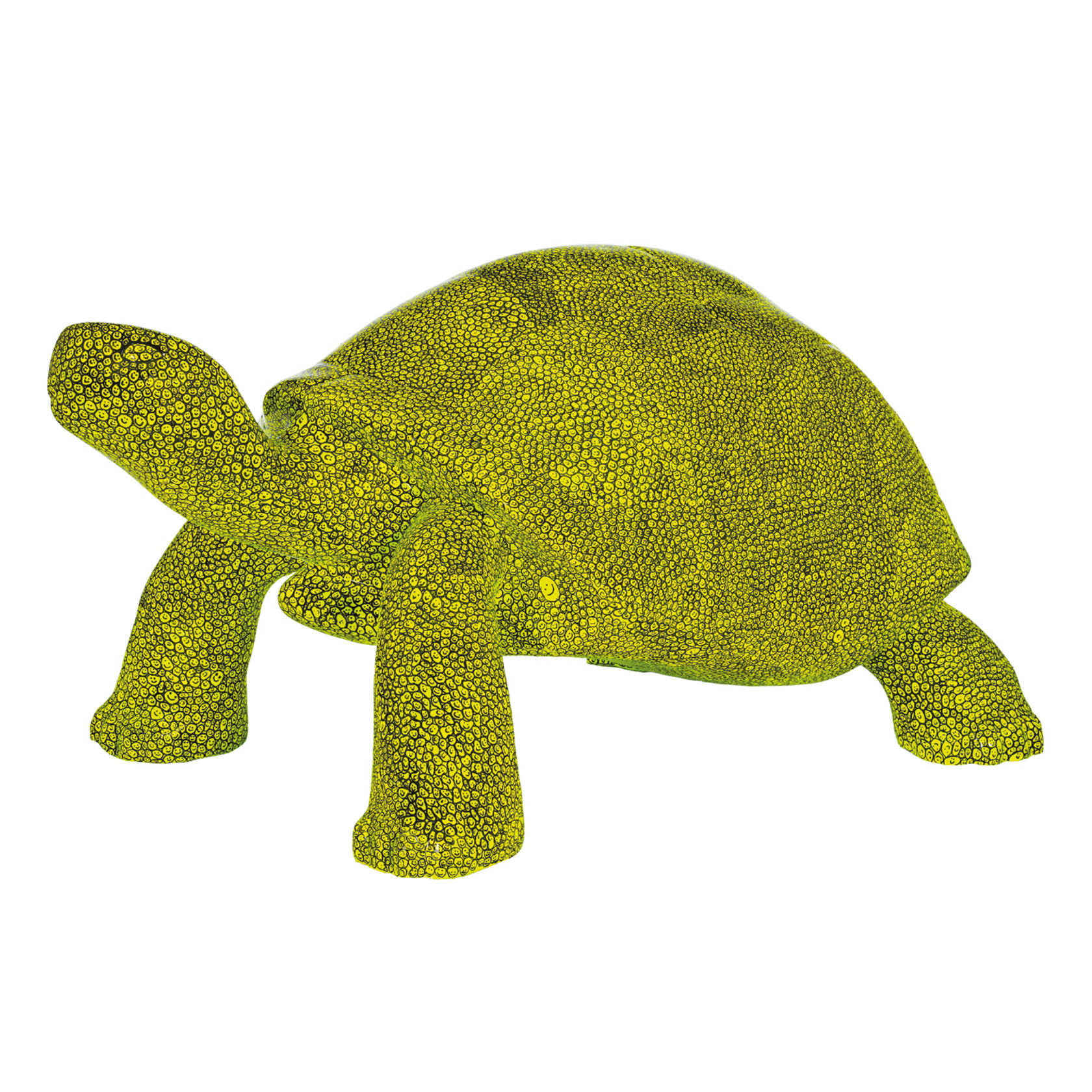 Tt Large Web 1333X1333 Its A Rave Dave