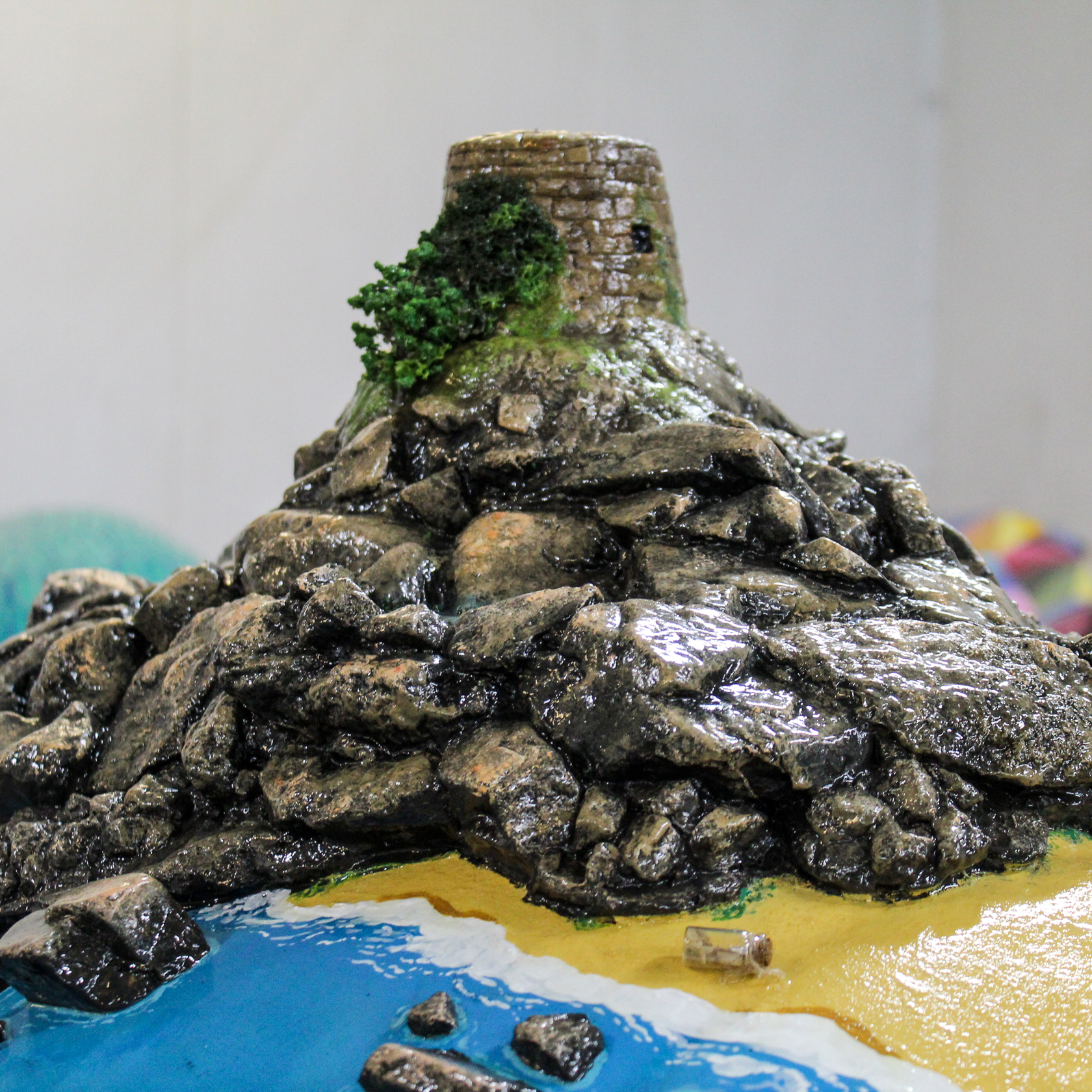 Janvrin's Tortoise 2