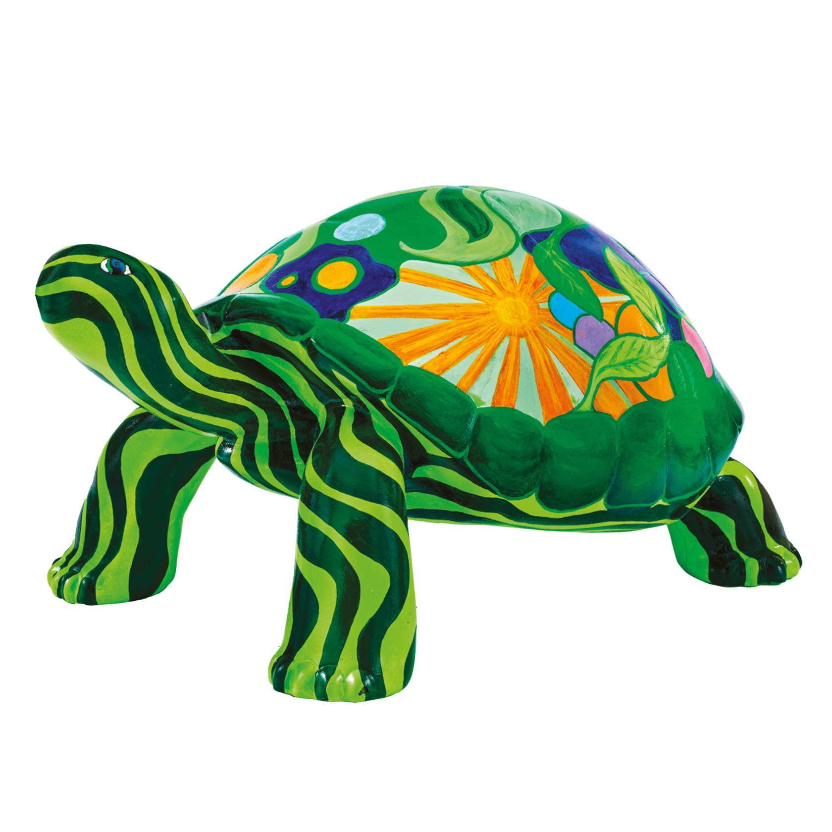 Tt Small 1333X1333 Braithwaite Tortoise