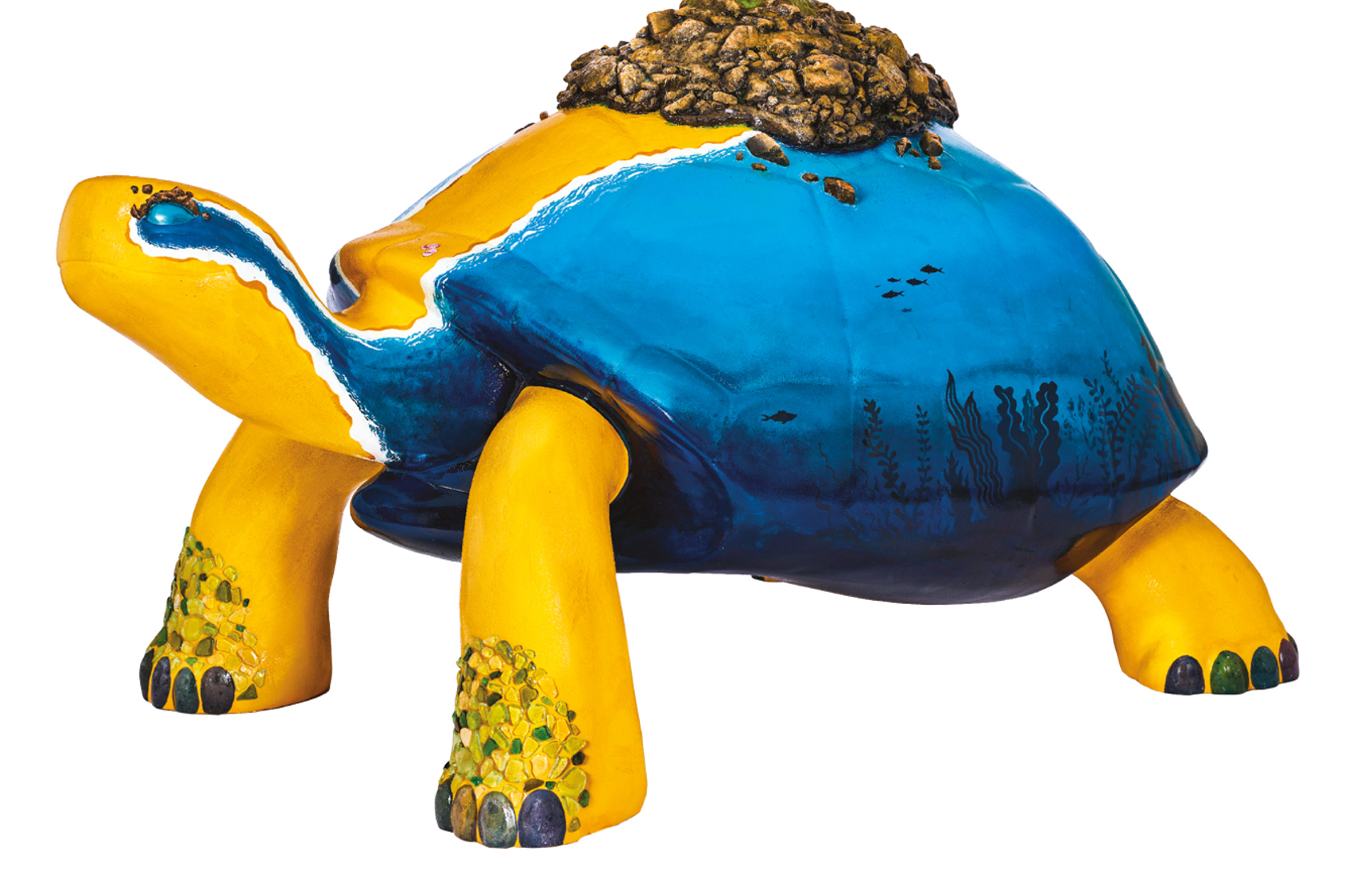 Tt Large Web 1333X1333 Janvrins Tortoise (1)