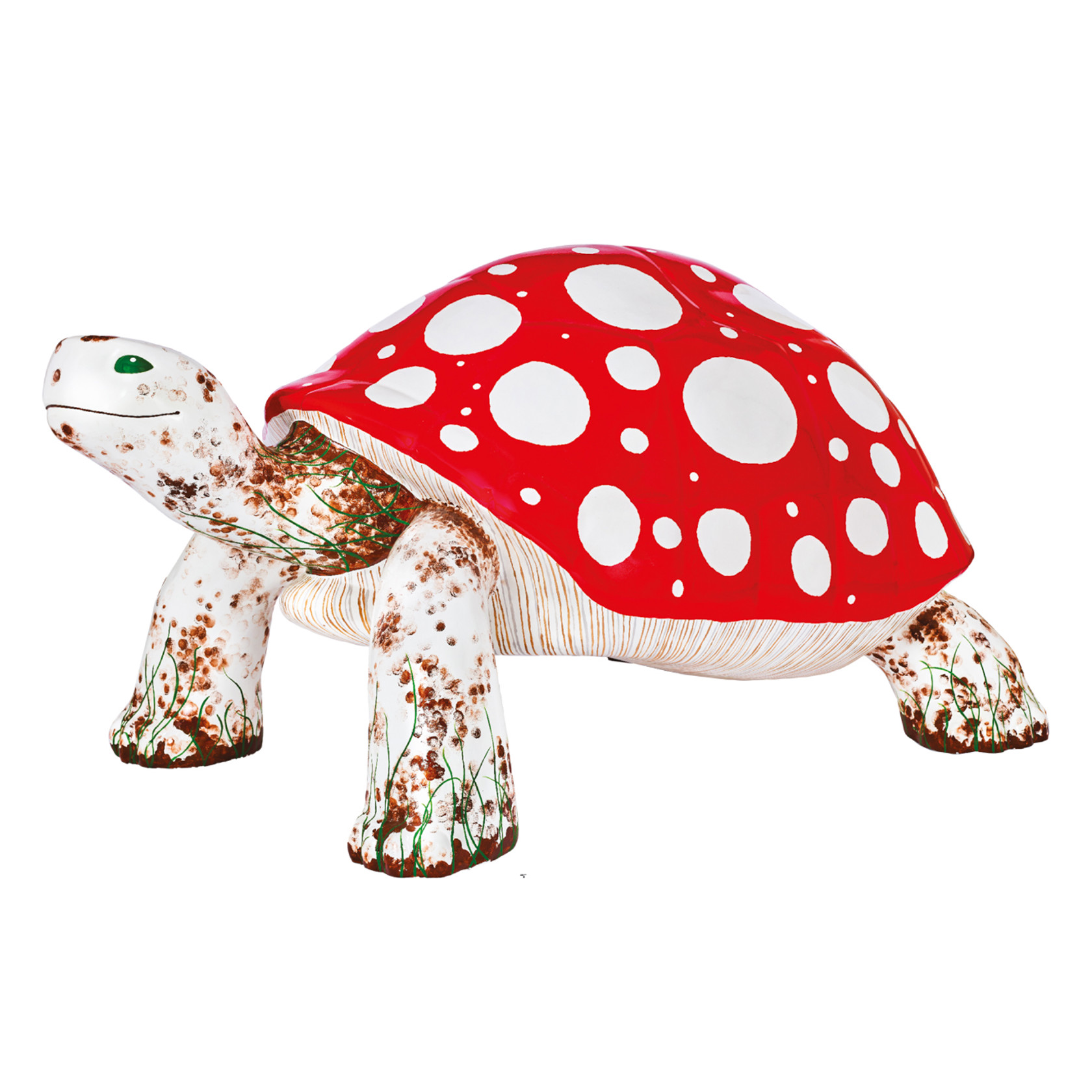 Tt Large Web 1333X1333 Toadstooly Tortoise